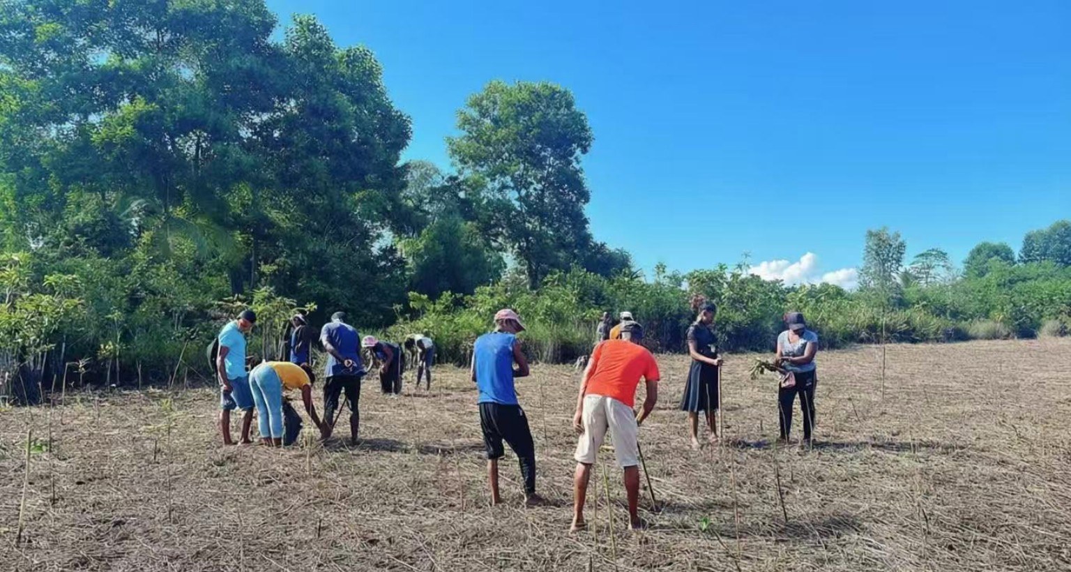 Activité de plantation menée par les membres de l'association